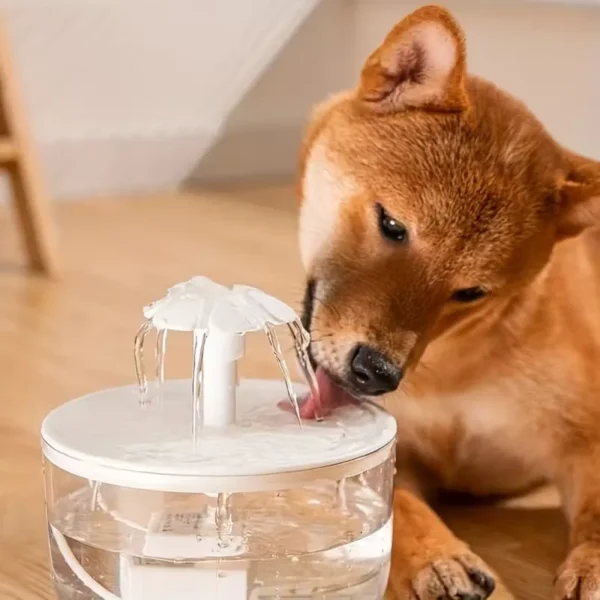 Automatic Pet Water Fountain for Cats and Dogs
