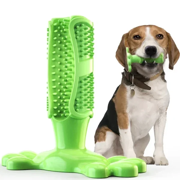 Cactus Rubber Pet Cleaning Toothbrush