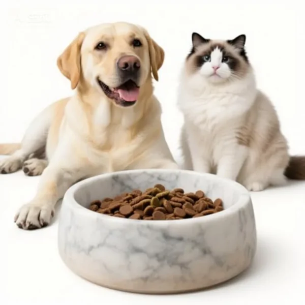 Natural Carrara Marble Pet Dish