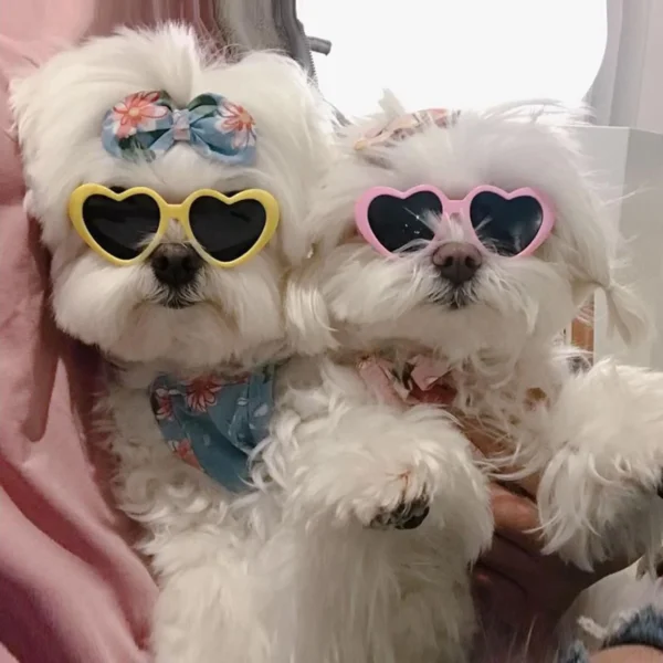 Pet Heart Sunglasses
