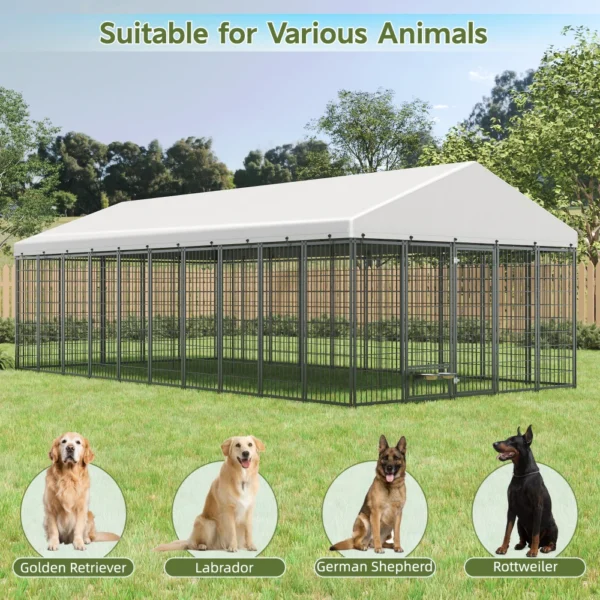 Outdoor Dog Kennel