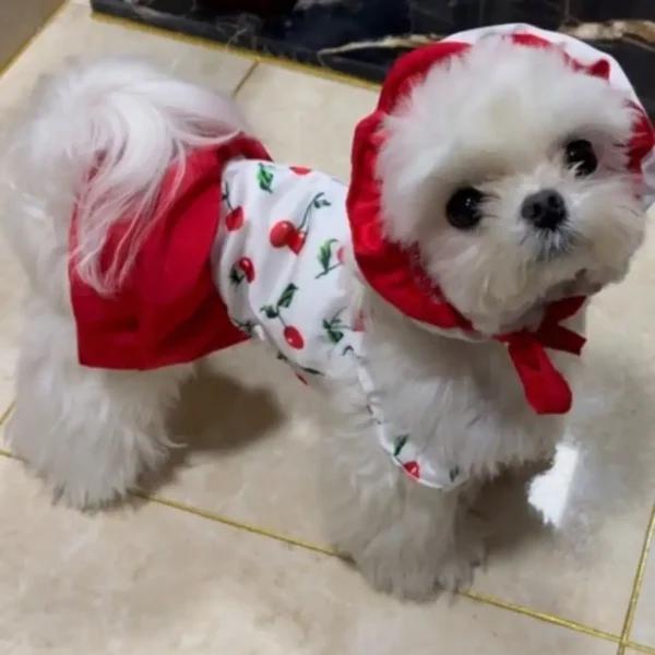 Cherry Pet Swimsuit With Sun Hat