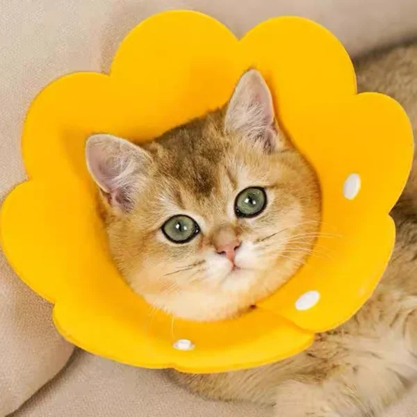 Pet Recovery Cone Collar