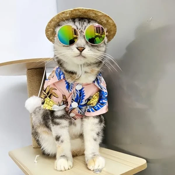 Pet Summer Outfit
