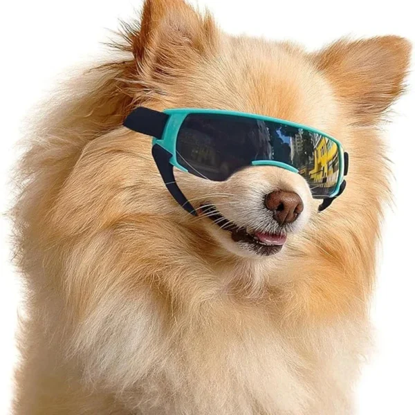 Small Dog Sunglasses
