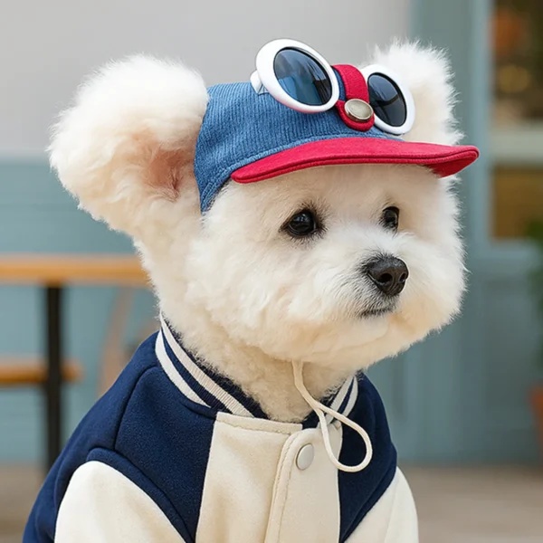 Two-piece Dog Baseball Cap and Cool Sunglasses Set